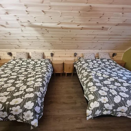 Aurora With Sauna
